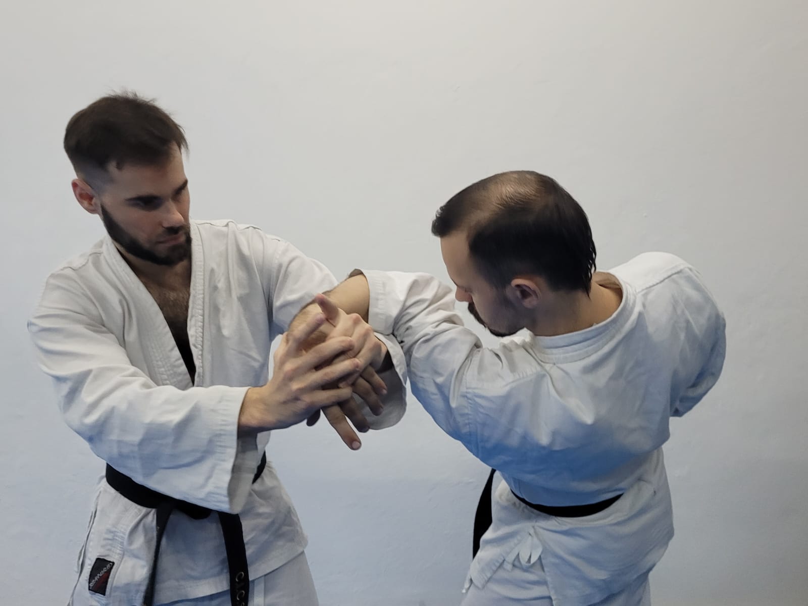 Palanca de Hapkido